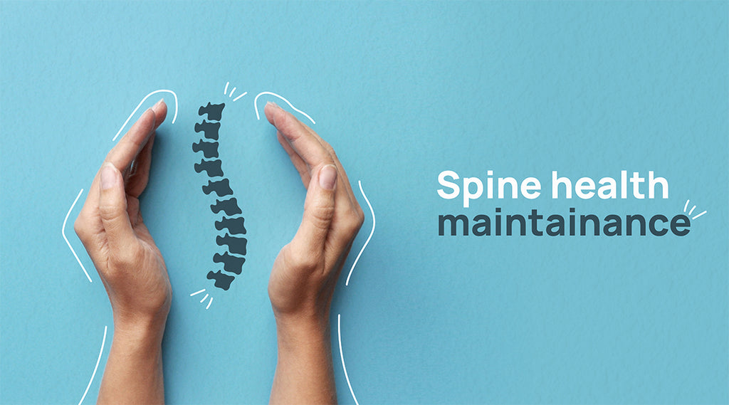 Importance of Spine Health and its Maintenance