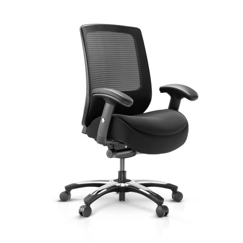 Frido Embrace Ergo Chair