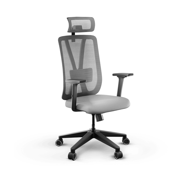 Frido AeroMesh Classic Ergo Chair - With Headrest