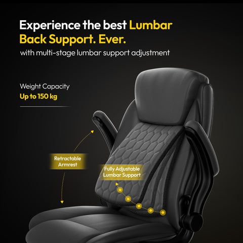 Frido 3D Posture Plus Ergonomic Chair