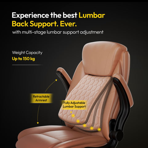 Frido 3D Posture Plus Ergonomic Chair