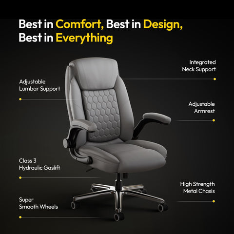 Frido 3D Posture Plus Ergonomic Chair