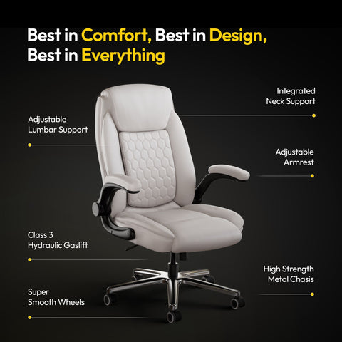 Frido 3D Posture Plus Ergonomic Chair