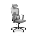 Frido AeroMesh Ergo Chair