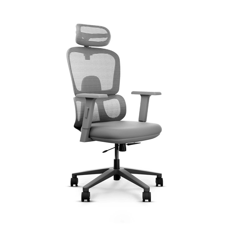 Frido AeroMesh Ergo Chair