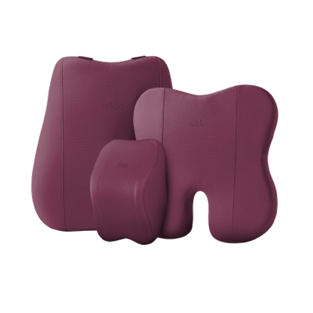 Frido Premium Car Comfort Bundle
