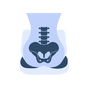 Orthopedic Coccyx Support