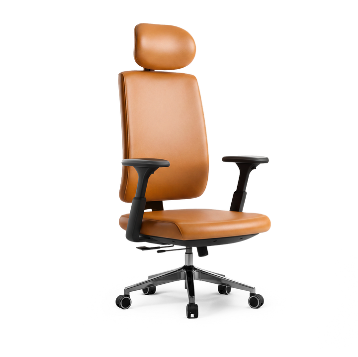 Frido Ergoluxe Studio Chair