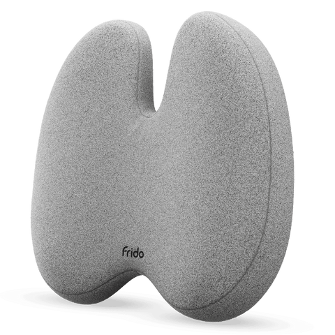 Frido Ultimate Pro Posture Corrector