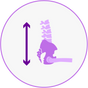 Orthopedic Piles-Relief Support